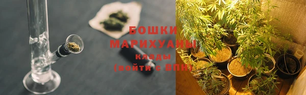 Альфа ПВП Гусь-Хрустальный