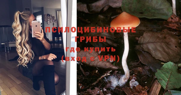 прущий лед Гусиноозёрск