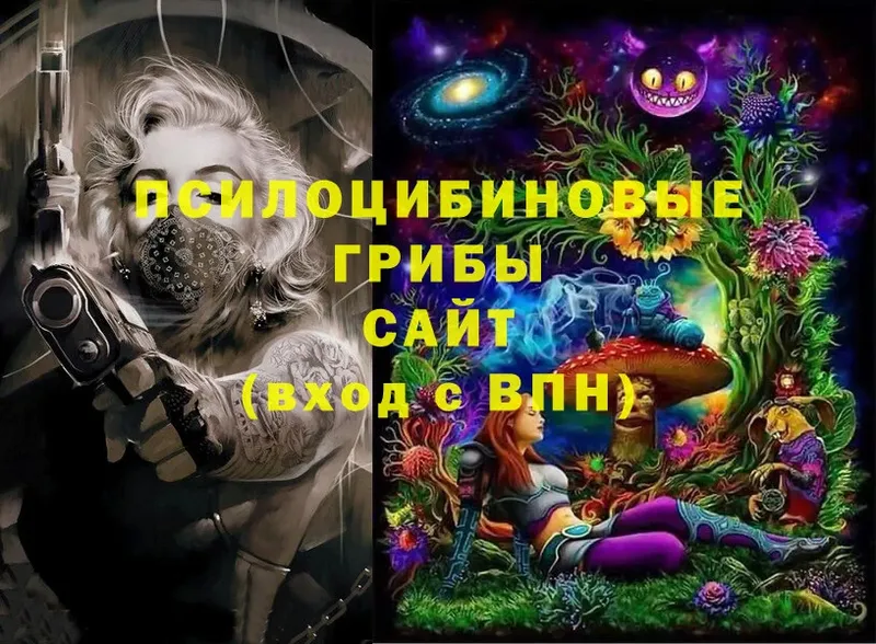 где продают   Гусь-Хрустальный  Псилоцибиновые грибы Magic Shrooms 