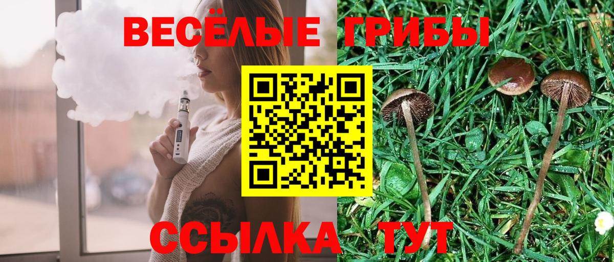Гусь-Хрустальный  Галлюциногенные грибы GOLDEN TEACHER  Вход с VPN  Псилоцибиновые грибы Psilocybe 